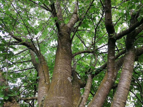• Respecter l&rsquo;environnement, on fait comment ?