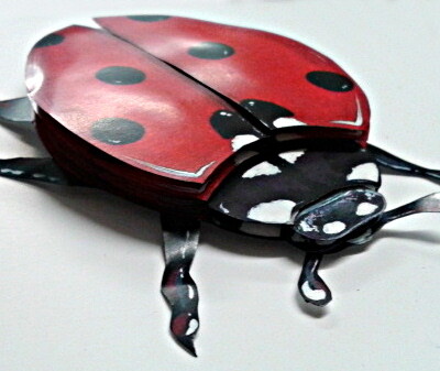 coccinelle en papier en volume vue de coté