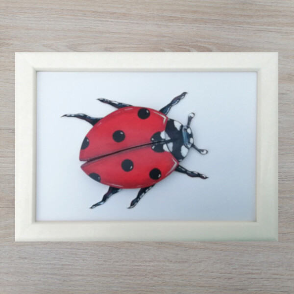 kit volume 3D coccinelle animal rouge a point noirs cadre blanc kit volume 3D coccinelle animal rouge cadre blanc
