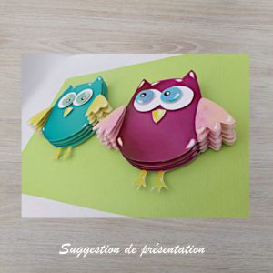 Kit hiboux en 3D pour faire soi-même un kit créatif lespapillonsapprivoises