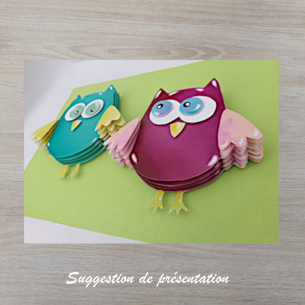 kit petits hiboux en relief