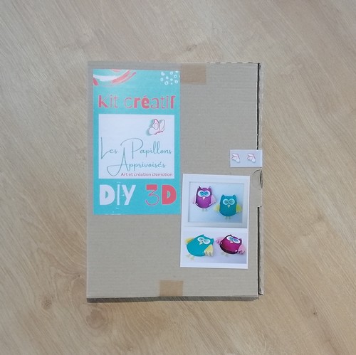 boite du kit creatif 3D do it yourself lespapillonsapprivoises