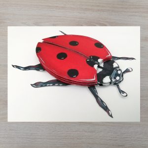 Kit coccinelle création 3D animal à créer en volume