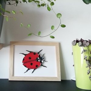 kit volume 3D coccinelle animal kit creatif cadre bois naturel